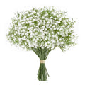 White Baby's Breath Bouquet - 10 & 15 Stems