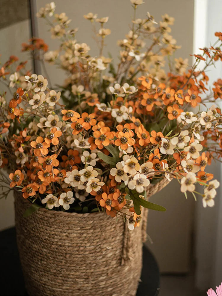 Pink Waxflower Stem - Set of 3