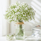 White Baby's Breath Bouquet - 10 & 15 Stems
